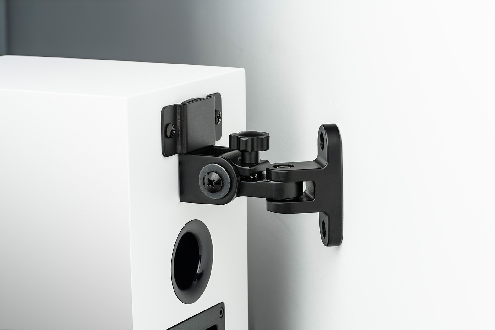 Wallmount Speaker Box 5e E Carbon 1