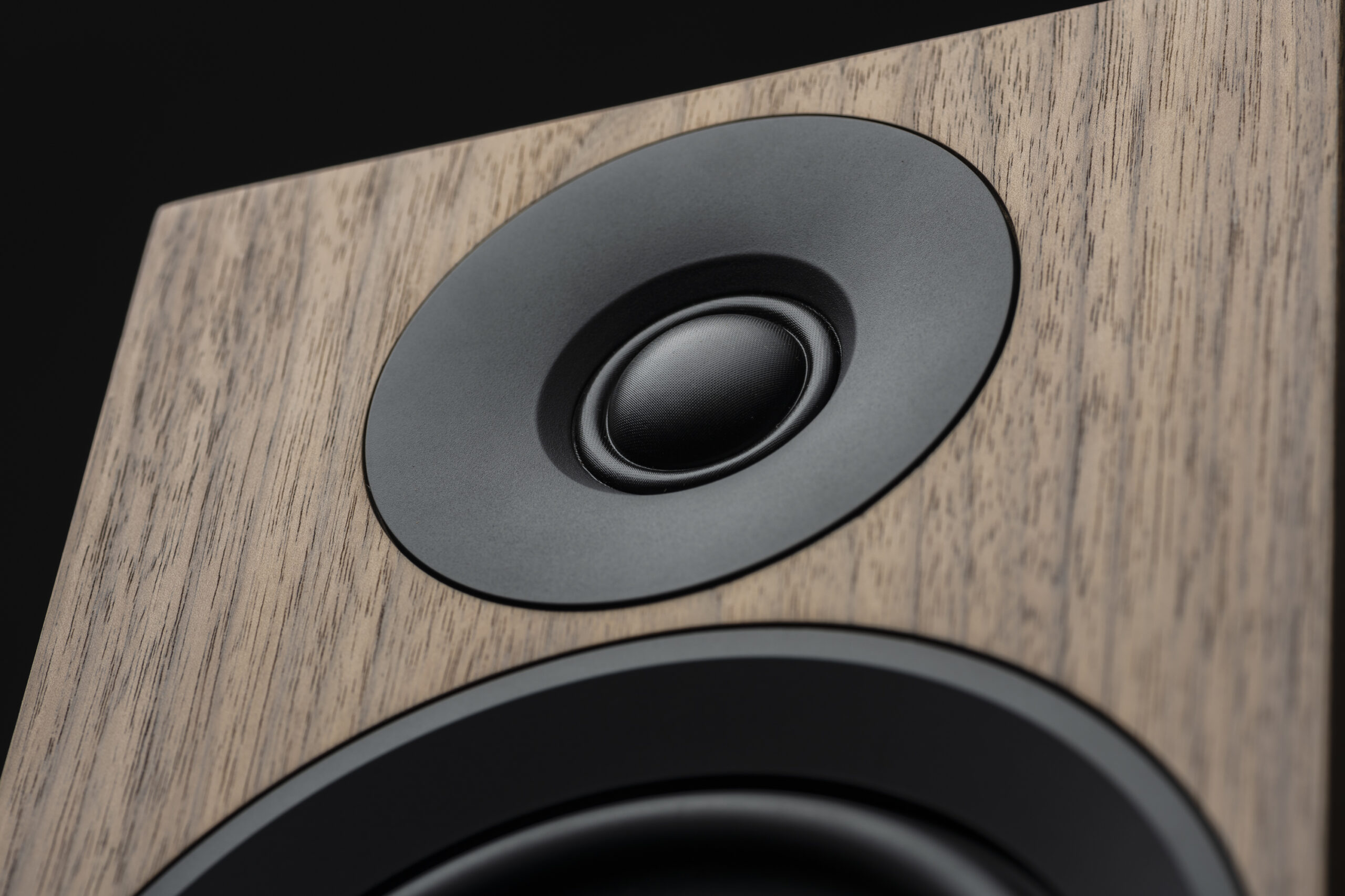 Speaker Box 5 E Carbon Detail Tweeter